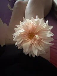 user pfp