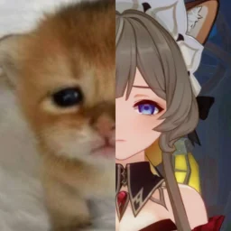 user pfp