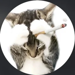 user pfp