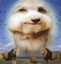 user pfp