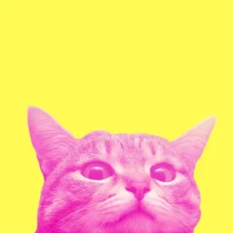 jenna's profile picture