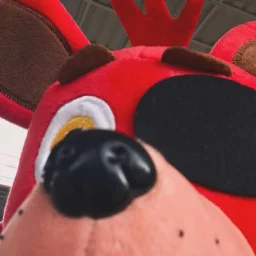 user pfp