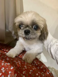 user pfp