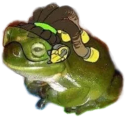 user pfp