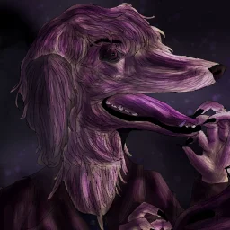 user pfp