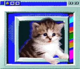 user pfp