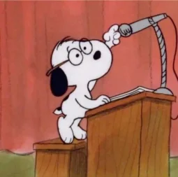 user pfp