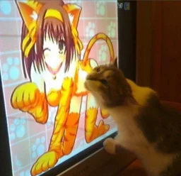 user pfp