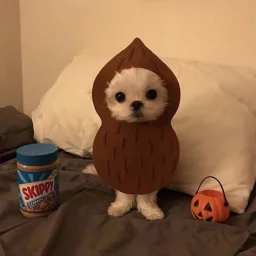 user pfp
