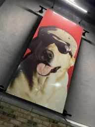 user pfp