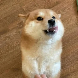 user pfp