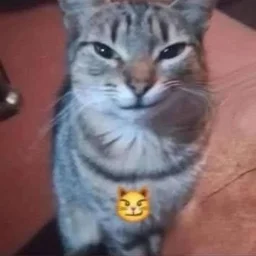 user pfp