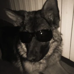 user pfp