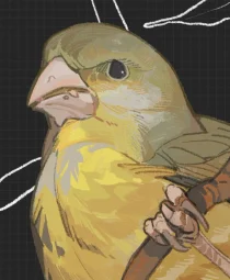 user pfp
