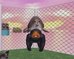 user pfp