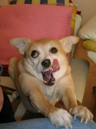 user pfp