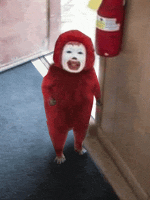 user pfp