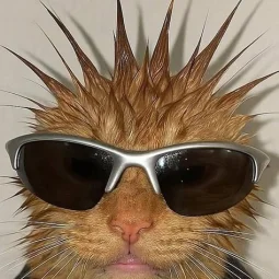 user pfp
