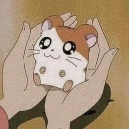 user pfp