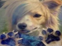 user pfp