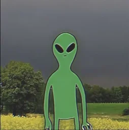 user pfp