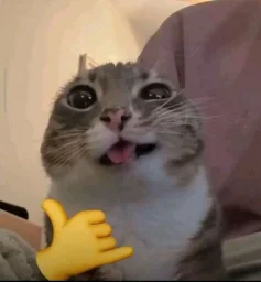 user pfp