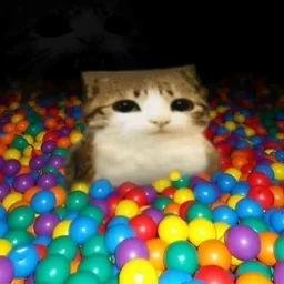 user pfp
