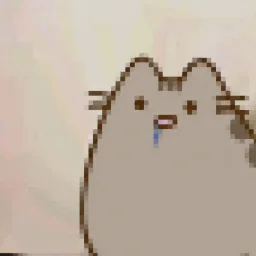 user pfp
