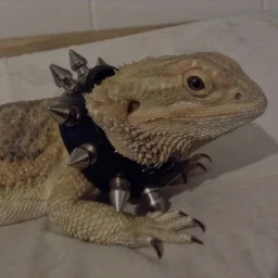 user pfp