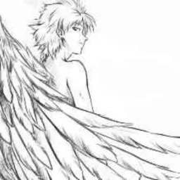 user pfp