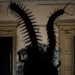 user pfp