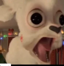 user pfp