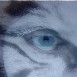 user pfp