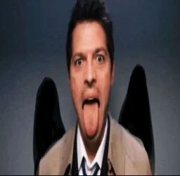 user pfp