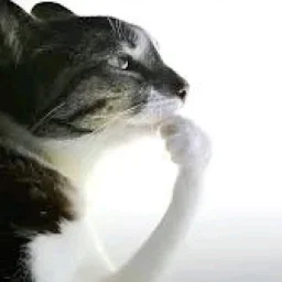 user pfp