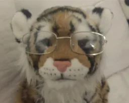 user pfp