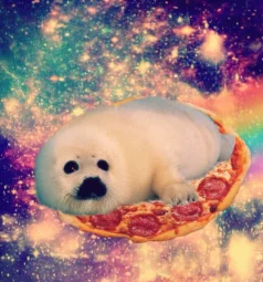 user pfp