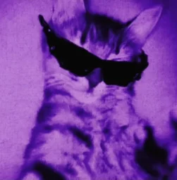 user pfp