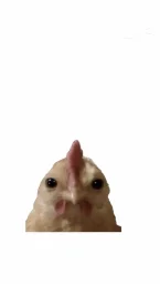 user pfp