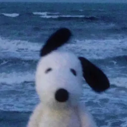 user pfp