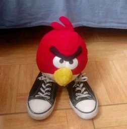 user pfp