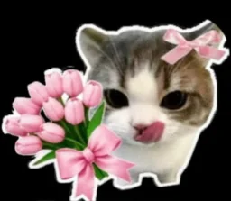 user pfp