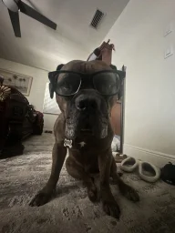 Autroe's profile picture