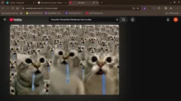 user pfp