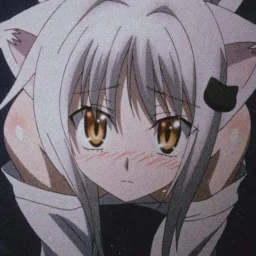 user pfp