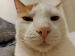 user pfp