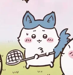 user pfp