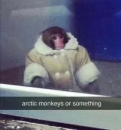 user pfp