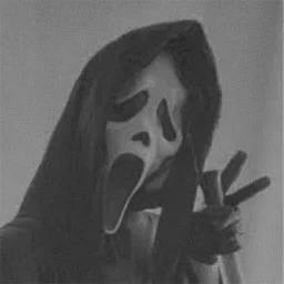 user pfp