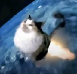 user pfp